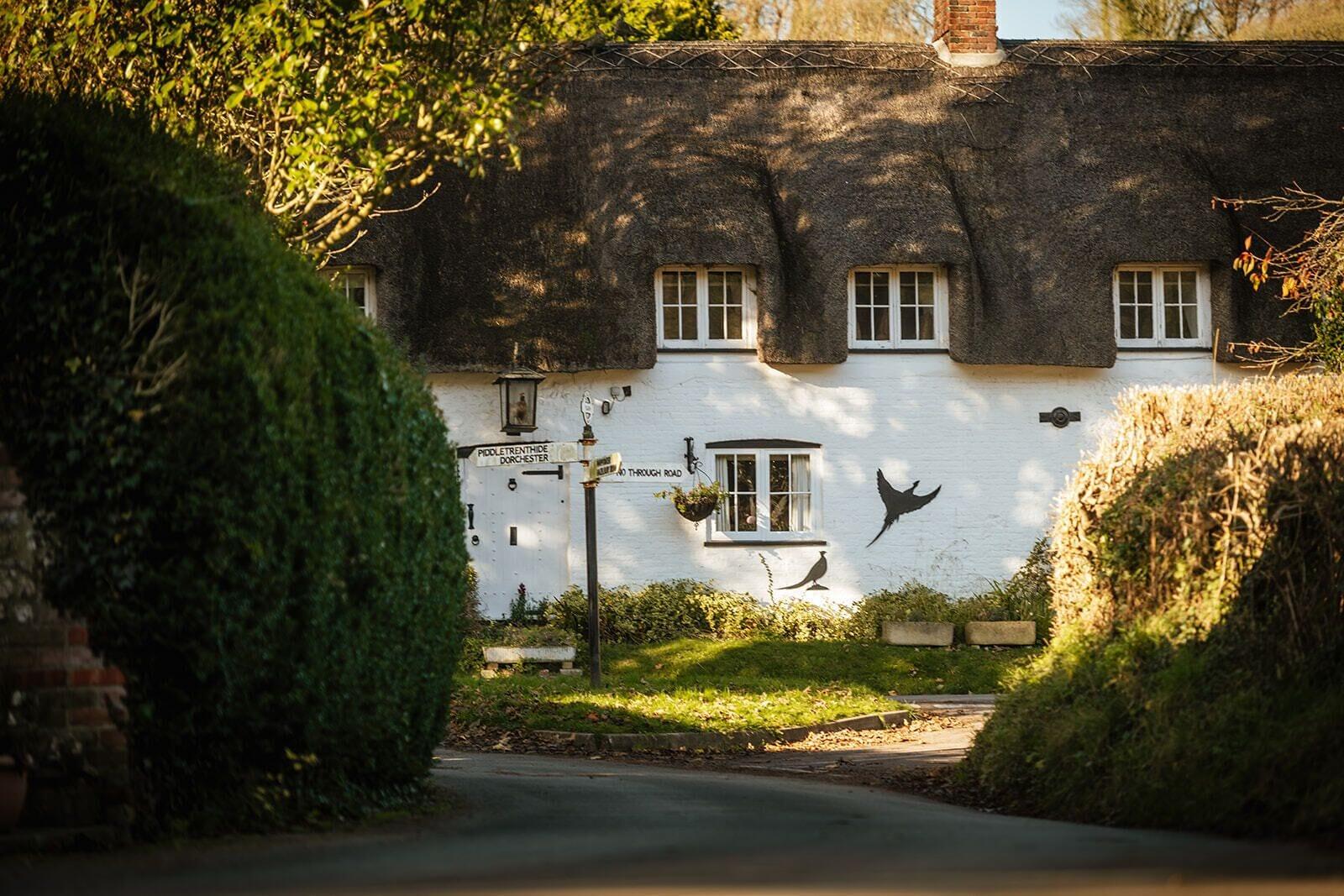 4 Smart Central Hotels Near Minterne Gardens Worth Booking